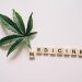 Afbeelding passend bij de blog “Medicinale Wiet: Documentaires”, waarin medicinale cannabis, CBD-olie en THC-olie worden behandeld en hoe deze de kwaliteit van leven kunnen verbeteren