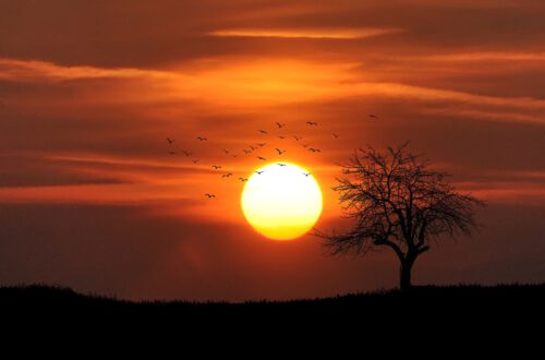 Afbeelding passend bij de blog “5 Gratis Manieren om je Humeur te Veranderen”, waarin technieken zoals dankbaarheid, muziek, dans, zonlicht en meditatie worden besproken
